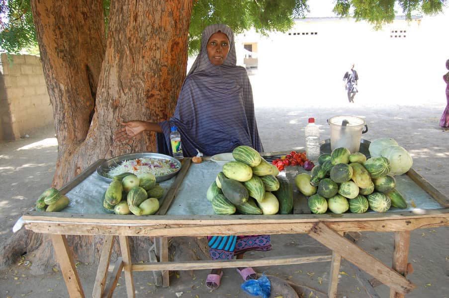 Woman trader selling cucumbers and vegetables under a shade tree
