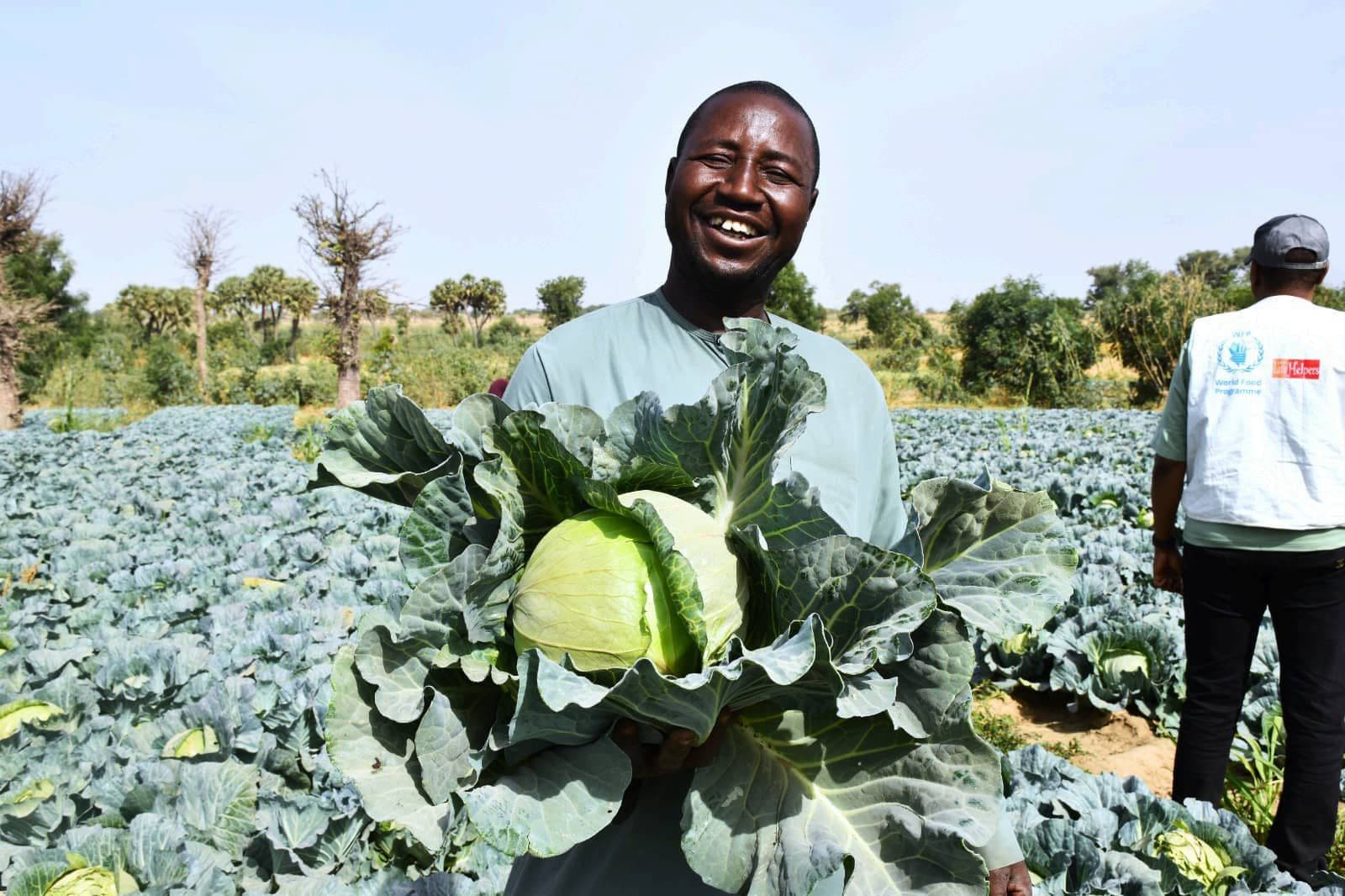 Farmer beaming as he holds a large cabbage from his dry-season harvest