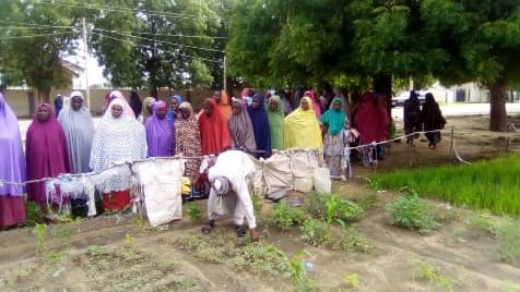 Women watching a micro-garden planting demonstration in a community garden